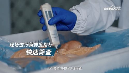 看鑒放心寵糧 探訪鮮朗，以全鏈路透明筑牢寵糧安心底線